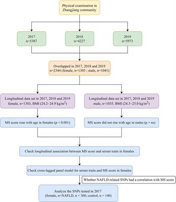 A bidirectional link between metabolic syndrome and elevation in alanine aminotransferase in elderly female: a longitudinal community study